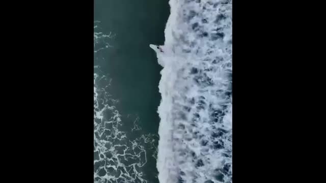 Beautiful sea, free people