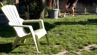 Chasing a cat