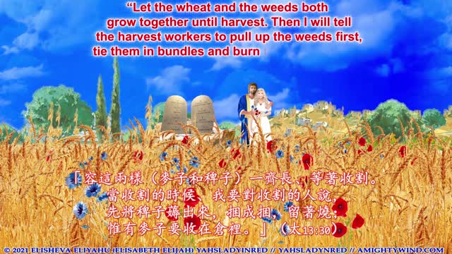 AmightyWind.com 美丽的互动数算俄梅珥直到2021年沙夫幼特节/五旬节 – 原创音乐