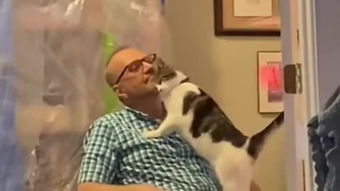 very cute cat & trust jump