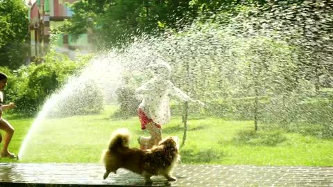 Girls playing with dog in the park