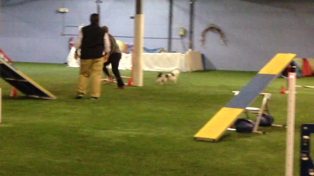 Tanner--Master Standard--Q