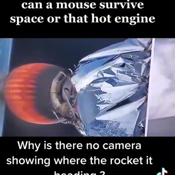 Mouse In Space