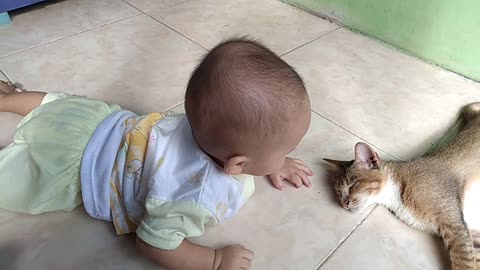 Cute Baby Playing with A Cat