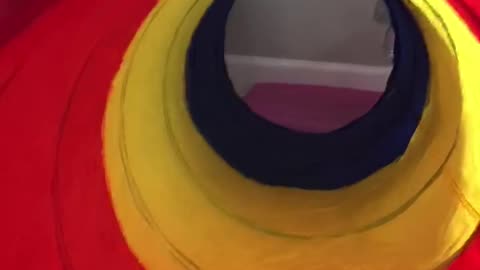 They said to get her to crawl again