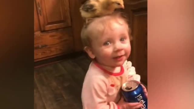 Cute baby with chicken funny scene