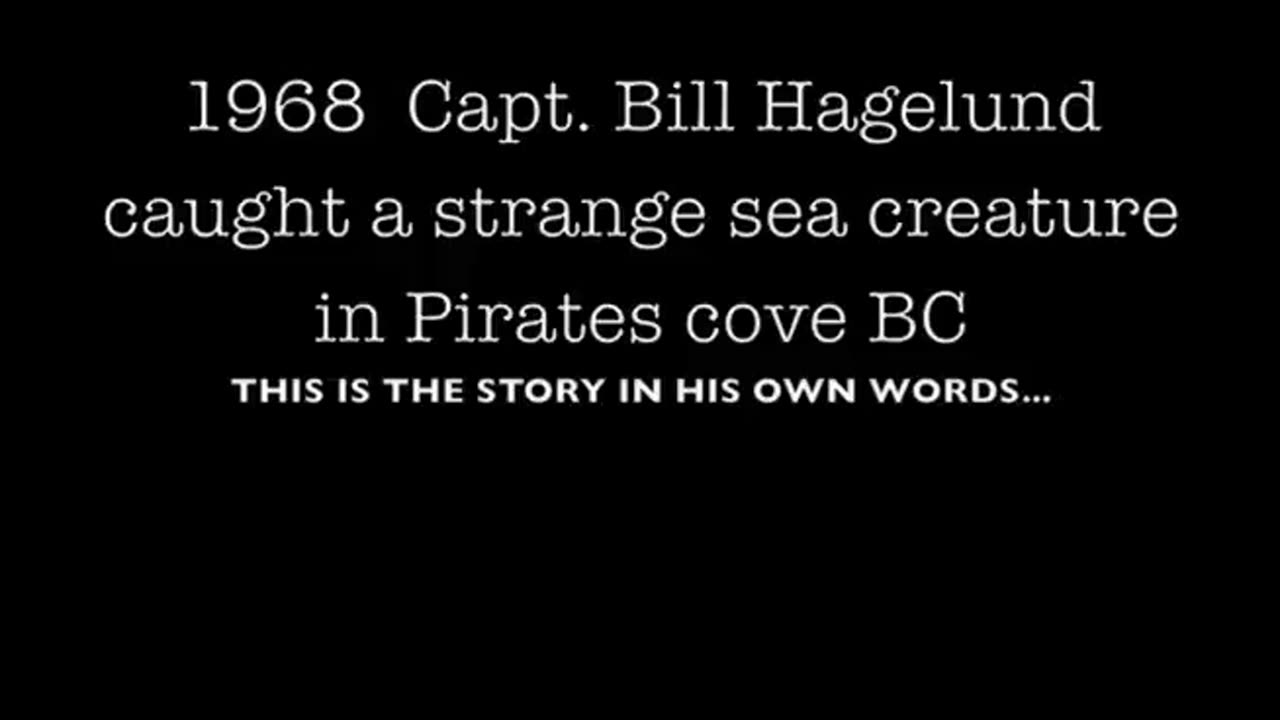 SEA TALES : The Story Of A Strange Sea Creature Captured In B.C.