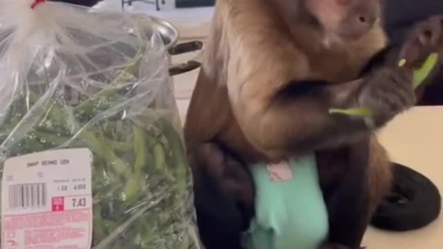 I Snapped Beans for my daddy for Fathers Day!!