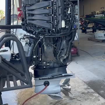 funny|prank|jokes|funny jokes|dad jokes|funny memes|funny video|fun|laughing|funny animal|knock