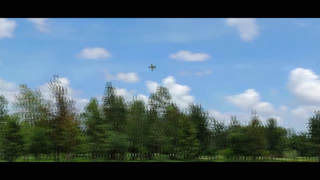 RC sim flying