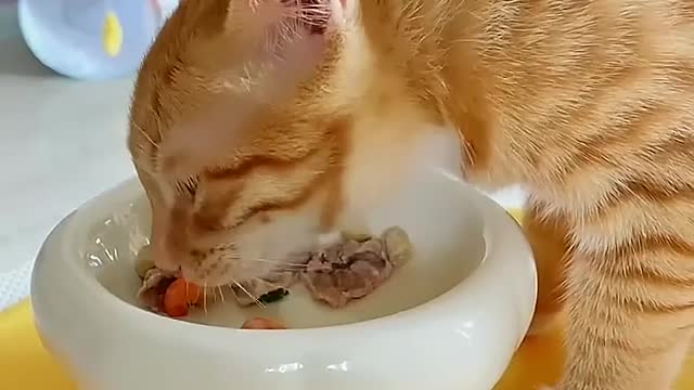 Eat vegetables