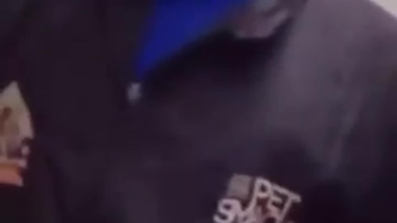 Funny Animal Videos Best Dogs And Cats Videos πΊπ