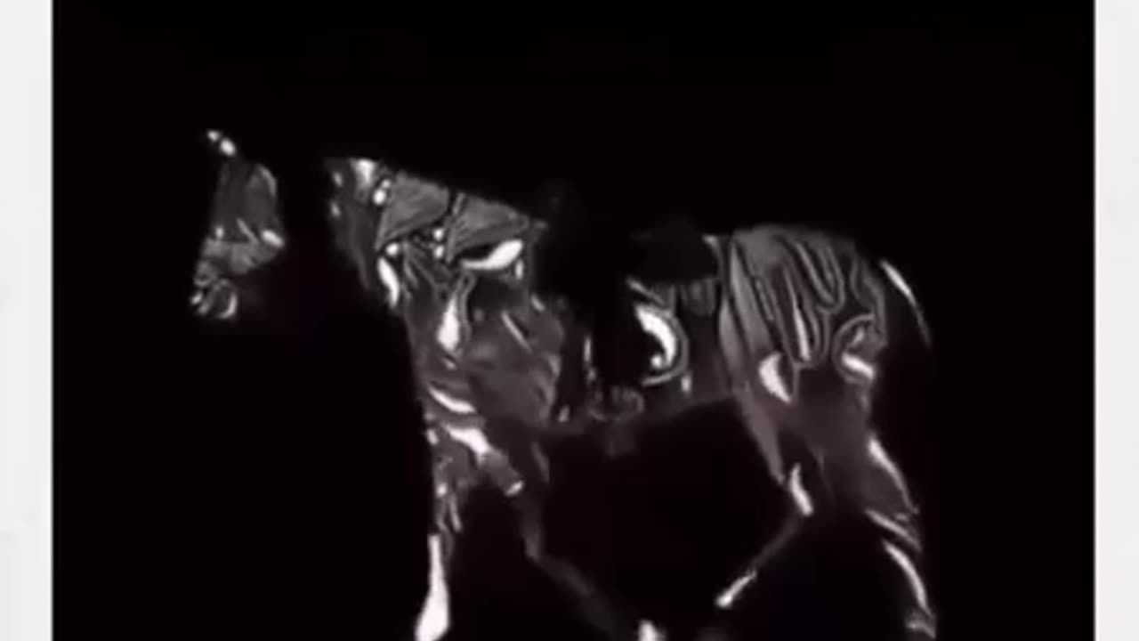 IS THE HORSE WALKING FORWARD OR BACKWARDS?