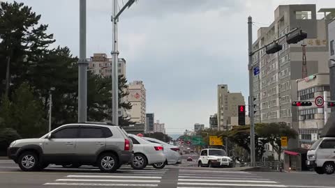 crosswalk video