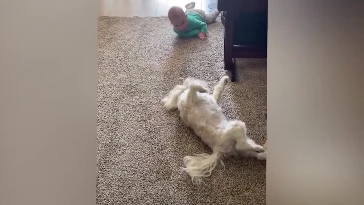 Hilarious Sneezing Mishap
