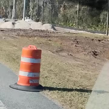 📈listen Up, Seville Florida! You're Growth Proof!💰