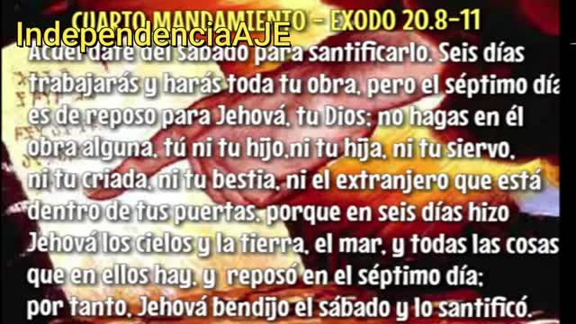 Instaurar una única Religión
