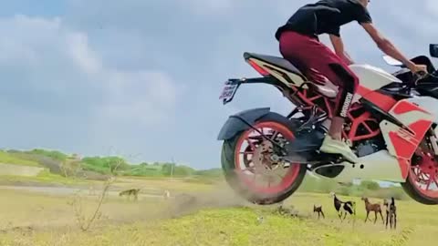 Ktm RC stunt