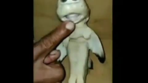 This is a beautiful and charming water-dwelling species