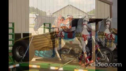 the horse tyyyuu_N2pzeGej_o4Ea