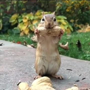 When you re super hungry Wait for the smile Video