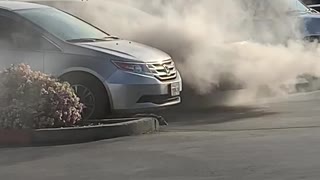 Suspicious Possum Walks Away from Car Fire