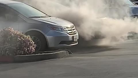 Suspicious Possum Walks Away from Car Fire