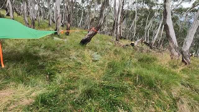 Tentsile Flight in Snowgums Victorian High Country.