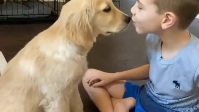 Learn how to raise the perfect puppy 🐕 See description