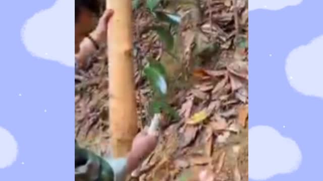 Magic technic by human