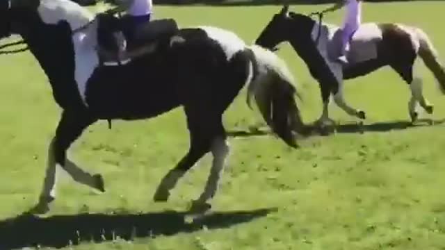 Two little girls riding horse