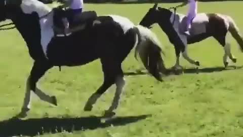 Two little girls riding horse
