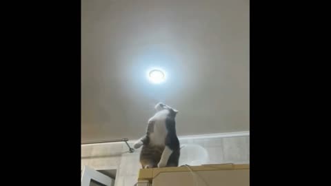 Electrician level 99!