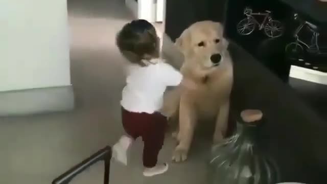 Small lovely