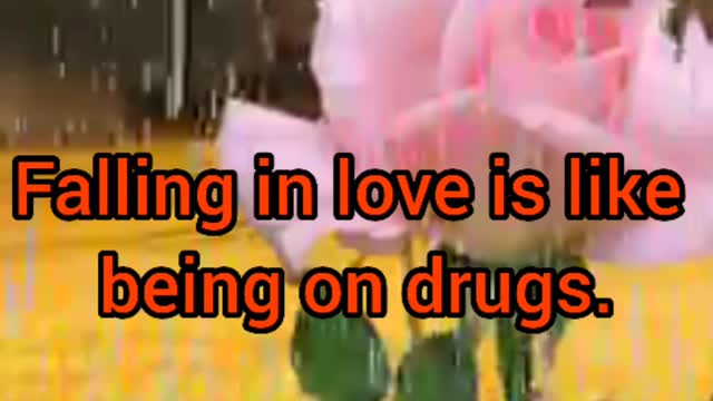 love fact