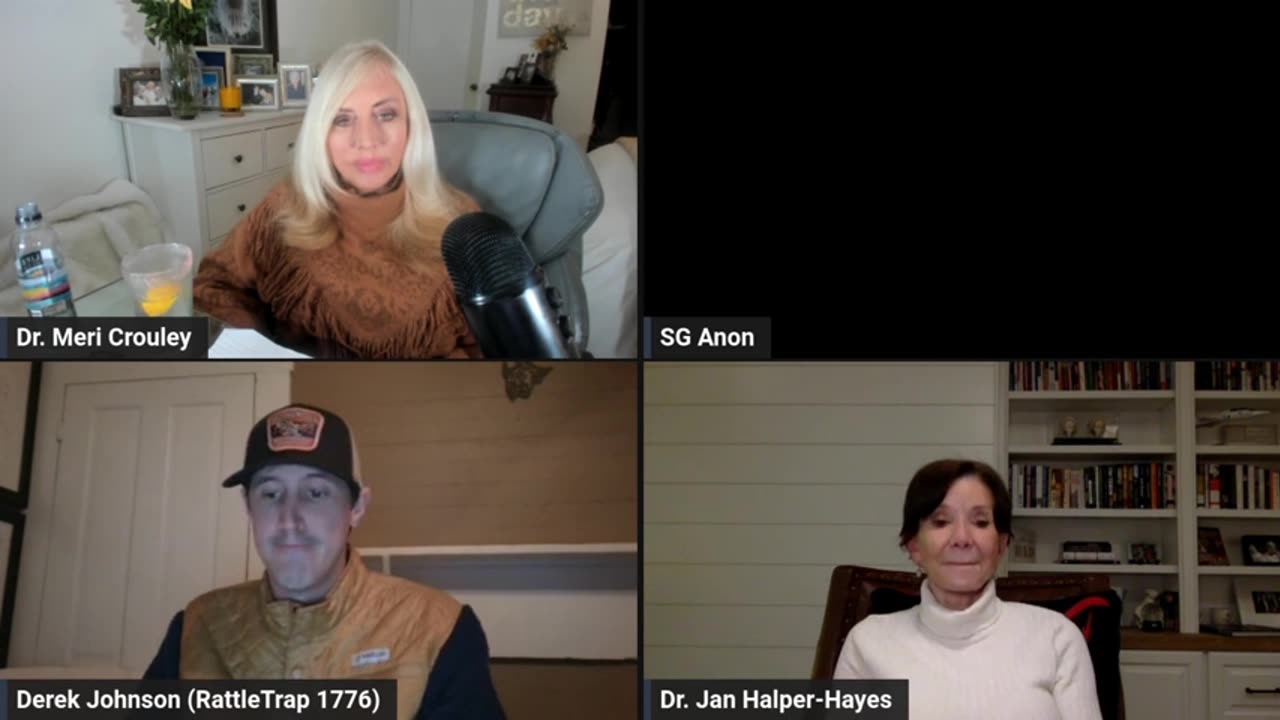 Dr. Jan Halper Hayes w/ SG Anon, Meri Crouley & Derek Johnson: Talk 4-way Roundtable