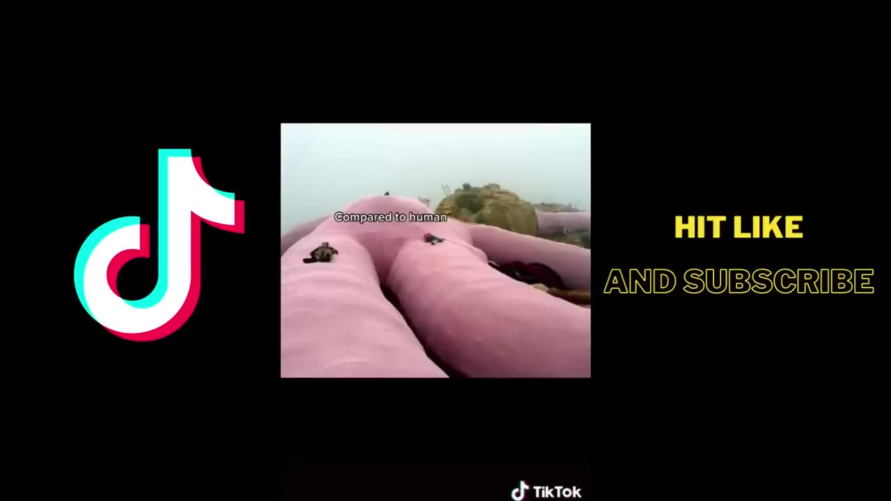 Things that are bigger than you think