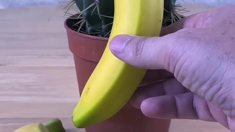 Banana is opresan