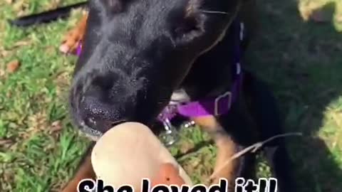 She loved this recipe