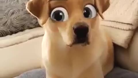 My Cartoon Eyed 🐕