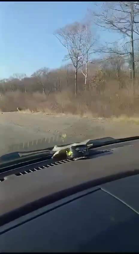 Never pick up any strange hitchhikers