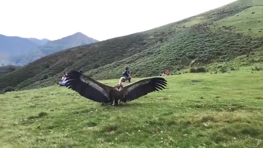 What a giant bird!!