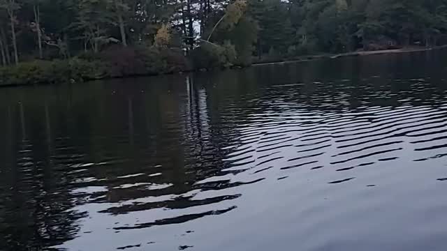 Beautiful New Hampshire Lake