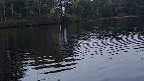 Beautiful New Hampshire Lake
