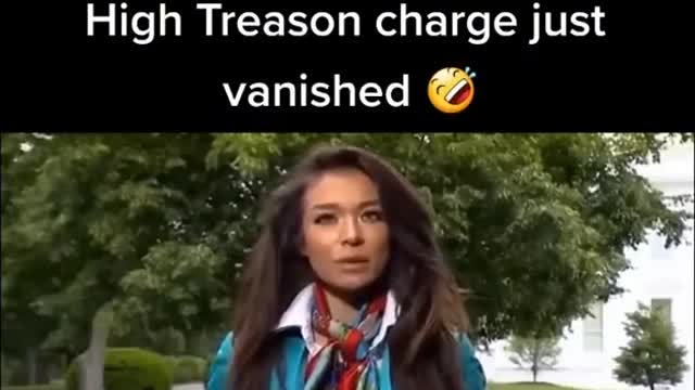 What Happened to this investigation...and just like that the high treason charges just vanished!
