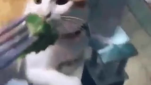 Eat it yourself!
