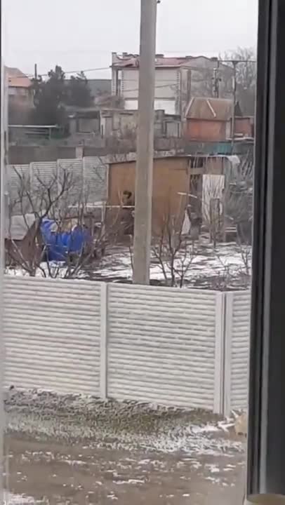 Russia's chicken thieves 🧐🤔 Ukraine