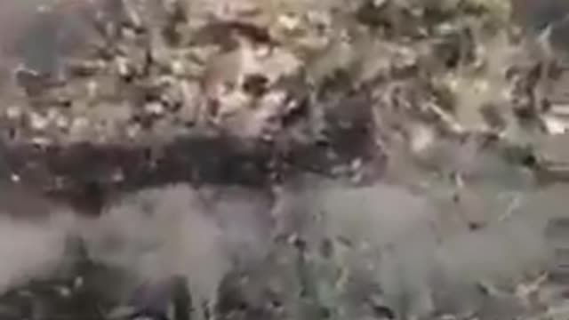 the rockets attack against Ain al Assad military