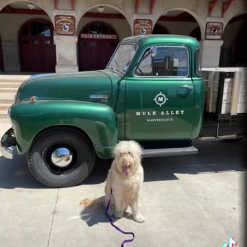 Touring Ft Worth Stocktards