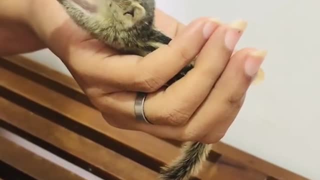 His little hands stole my heart